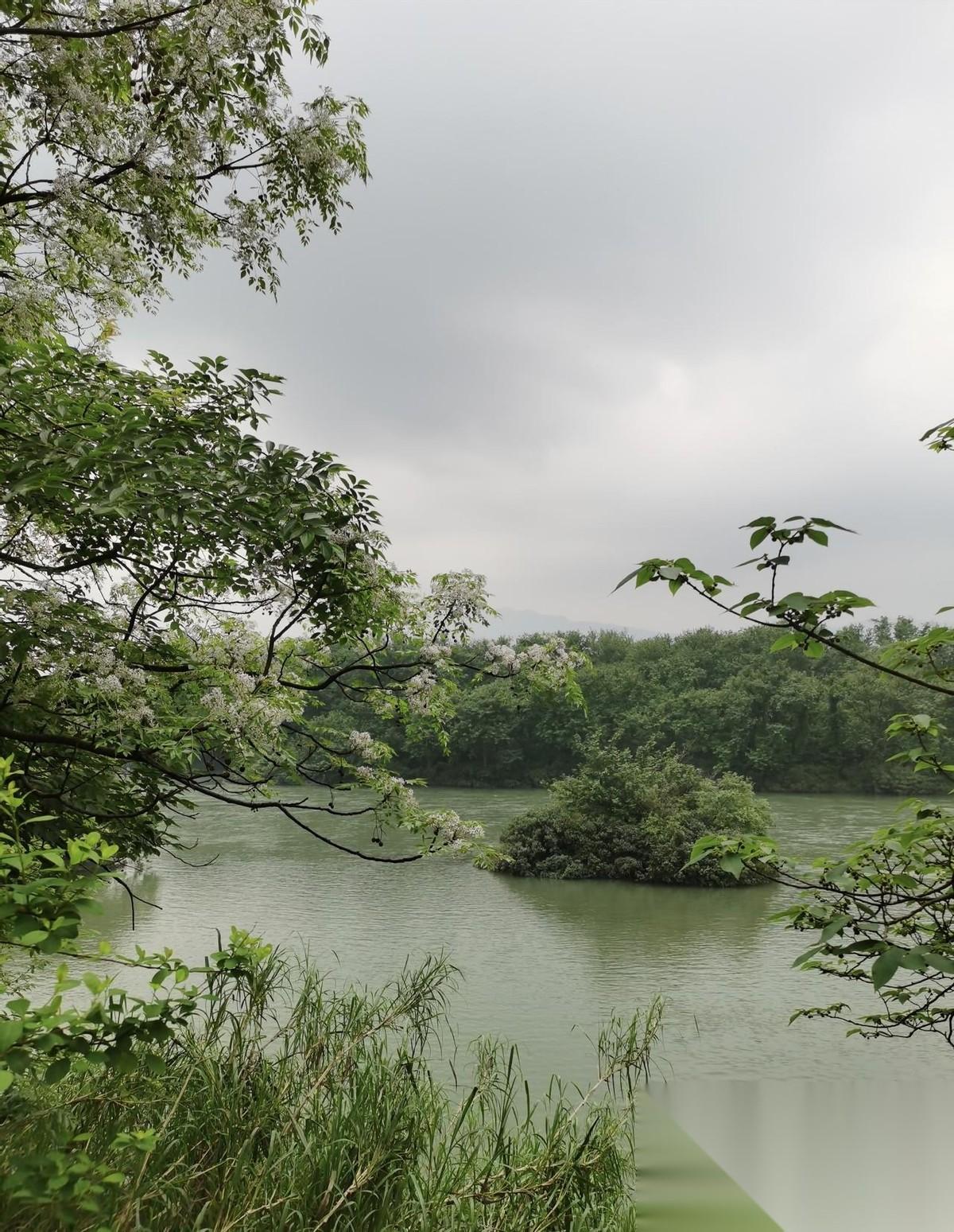 大部分人到死才明白的道理：“人总有一天是要死的，很多人整天都在忙着赚钱，但其实那