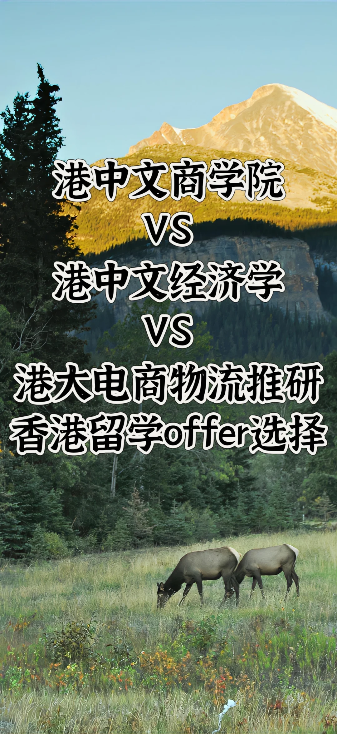 香港留学offer选择😘有你的梦中情校吗