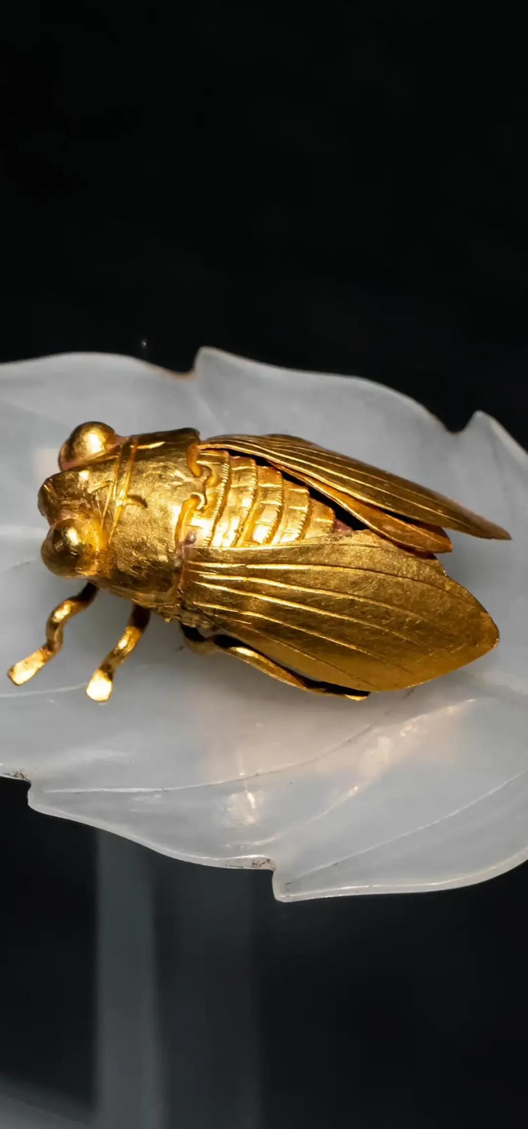 正义会迟到，但绝不会缺席！
12月23日，国家文物局成立工作组对南京博物院众多文