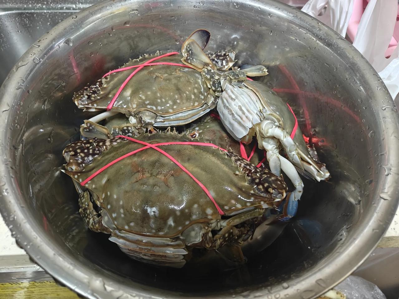 早上起来，顶着辽东湾的冰凉的海风，穿一件20年前小玉给买的阿玛尼牌尼子大衣，迈着