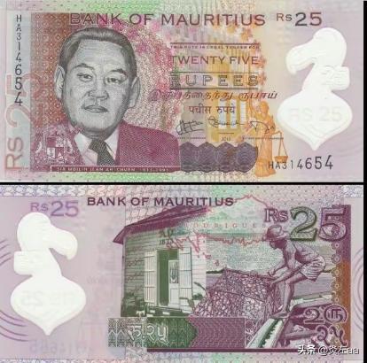 1999年，毛里求斯发行25元新卢布，许多人惊奇地发现：纸币上没有惯常的本国人物