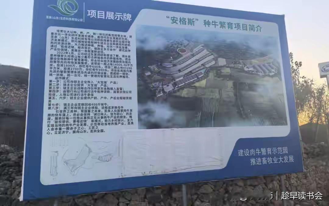 山东泗水一个号称投资4500万、养牛1500头的“智慧养殖场”，立项两年多，牛舍