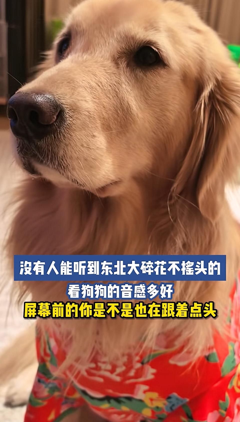 最好的办法是儿女双全孝顺老人且自己有一定积蓄。
这是狗狗，不要乱判定，因为不是人