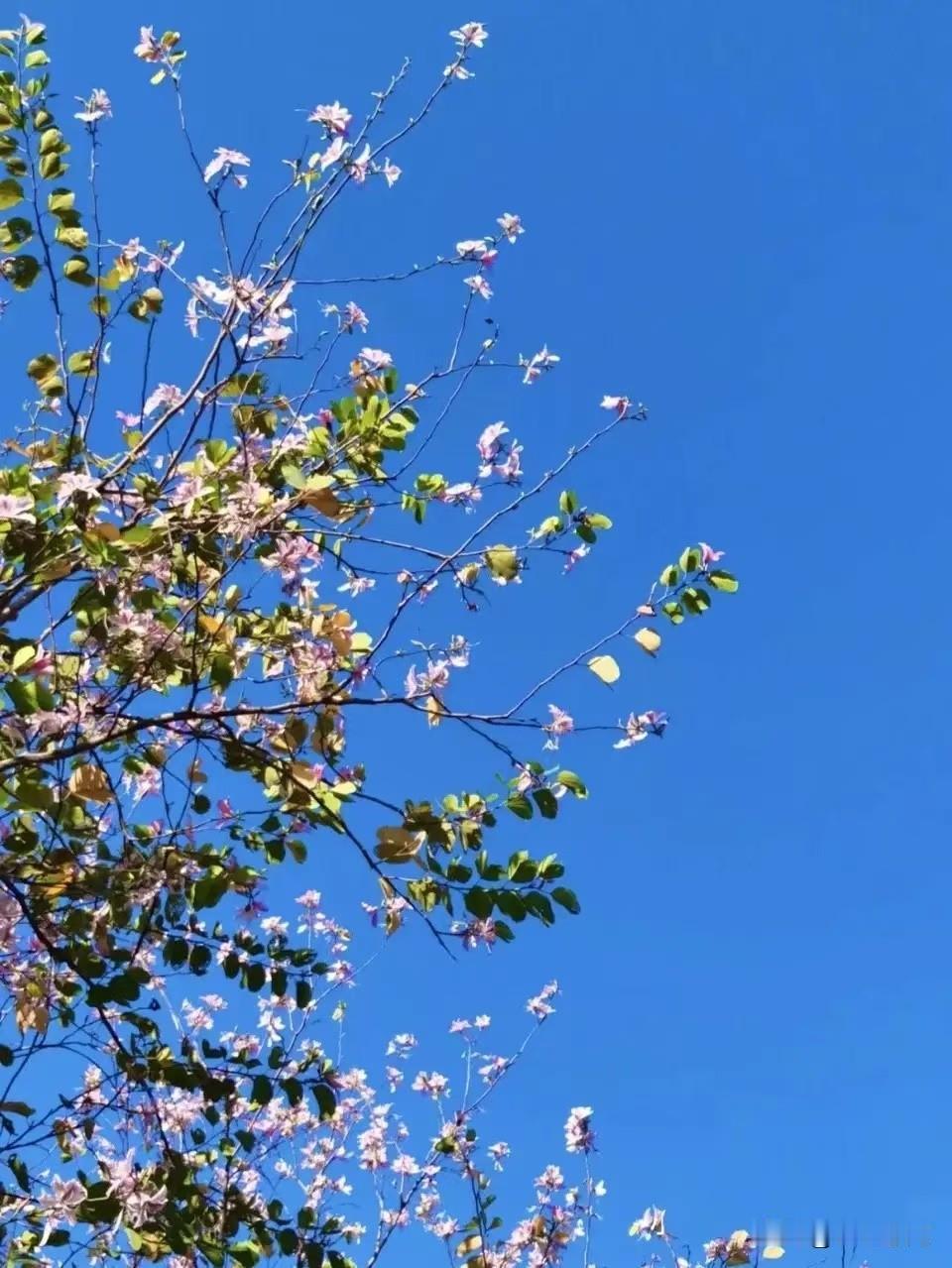 一个条友说：“我不喜欢和心眼多的人相处，因为处处要防备，实在是太累了。也不想和太