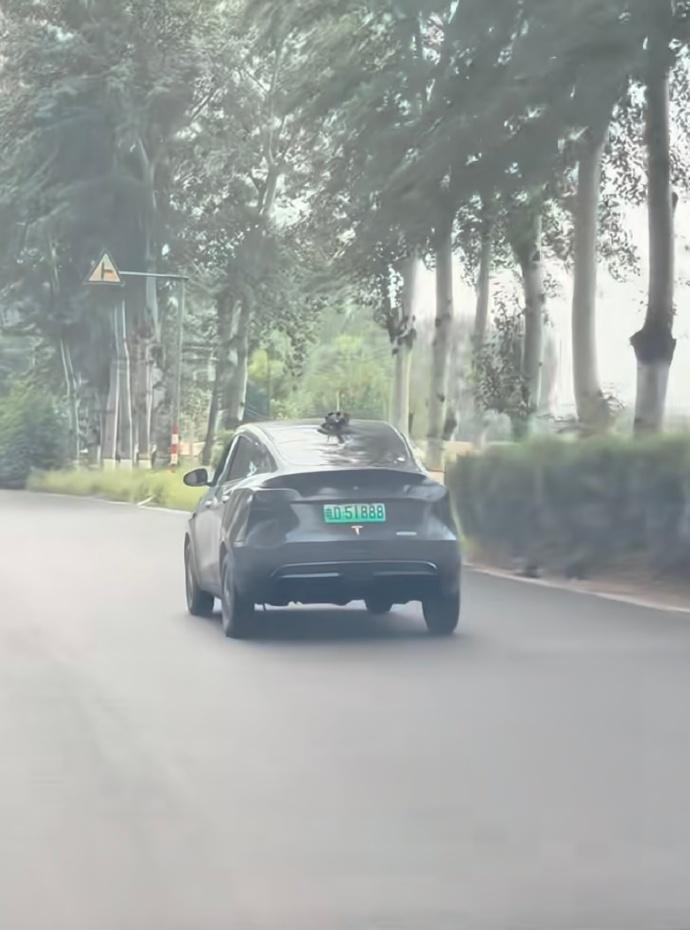 这应该叫
Model……Why？【来自懂车帝车友圈】