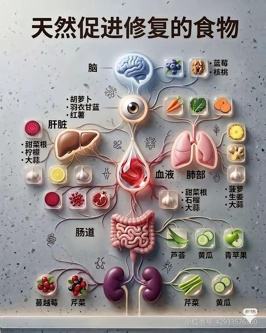 养生之道。
这个应该懂。