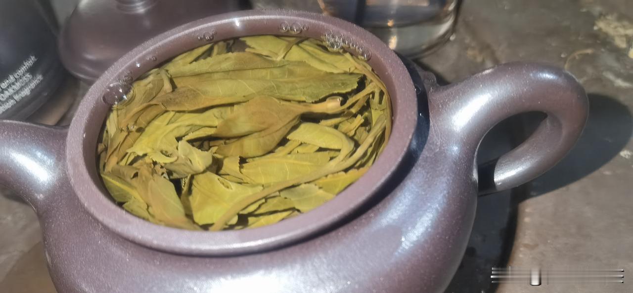 ​空气，水，食物，科学改变了所有属性，空气持续进入身体，空气中有微生物，基因片段