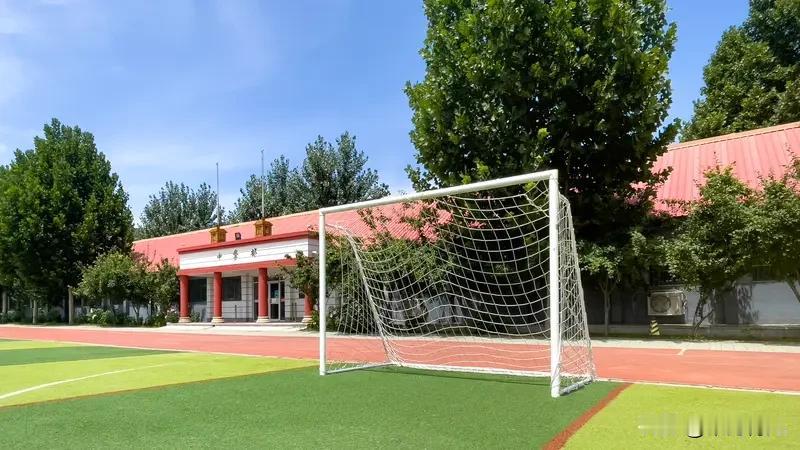 已经陪跑完小学六年的二胎妈妈，说一句掏心窝的实话：

孩子在学校容易被盯上，很多