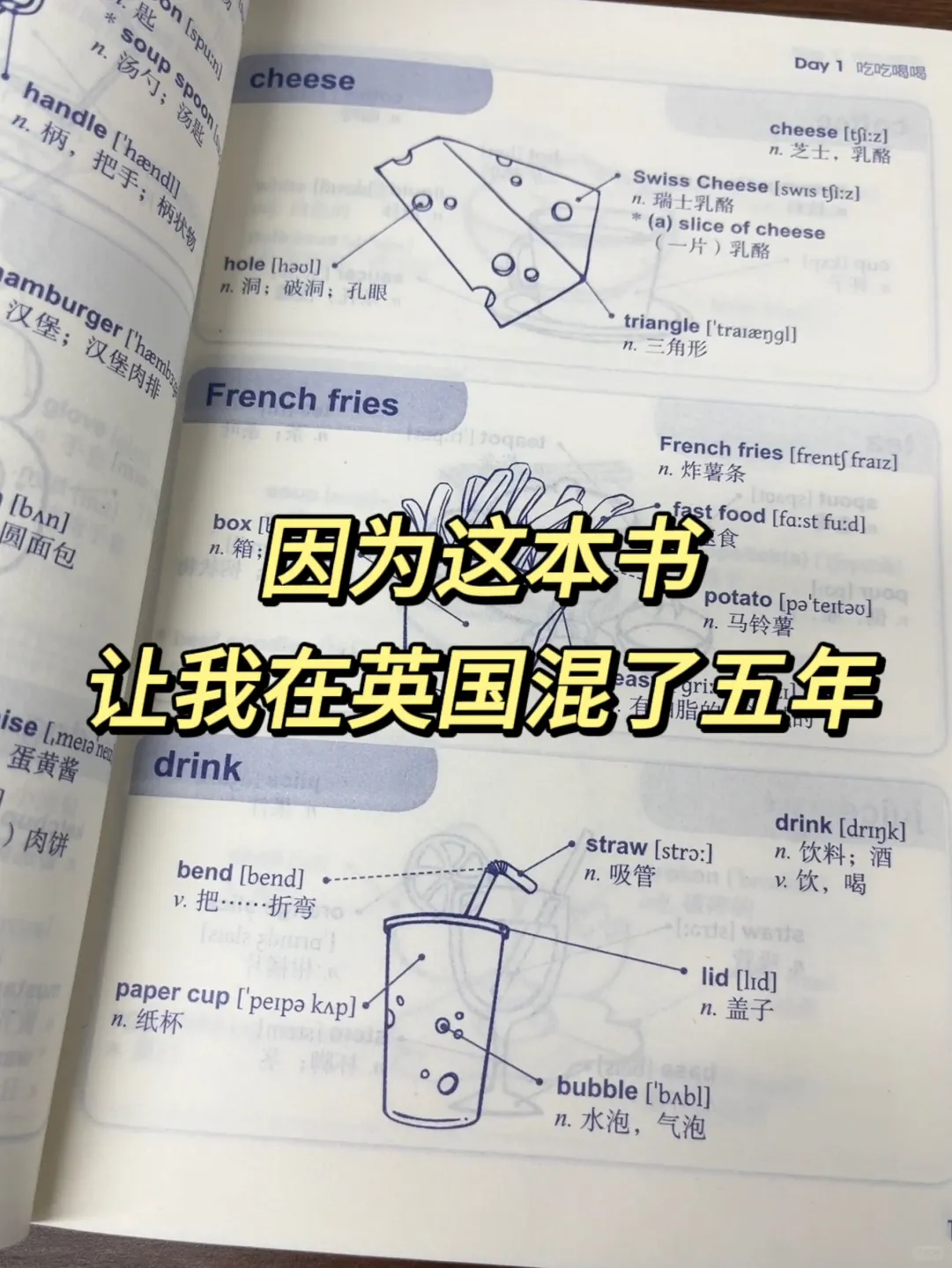 教授安利的雅思书，简直就是我记单词的神！