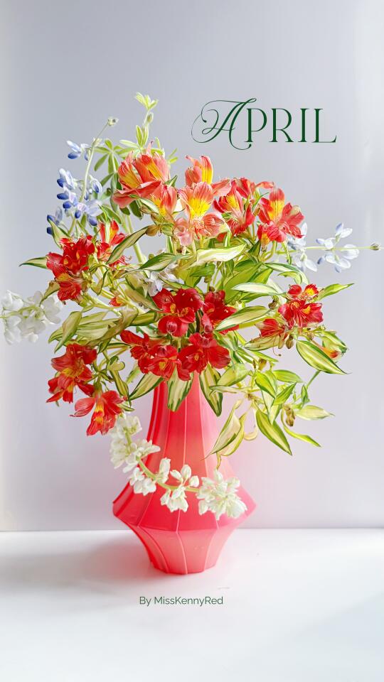 周末插花｜花叶六初+羽扇豆