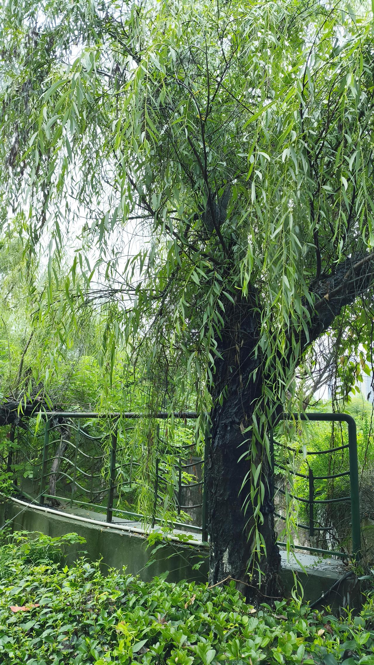 夏日生活打卡季 超认同“人生是体验过程”这说法。人生就像一场旅行，意义的答案因人