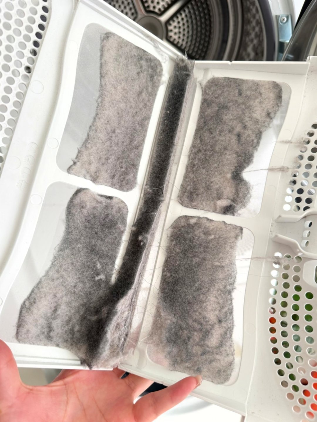 如果再装修一次，我大概率不会选洗烘一体机，而是直接上洗烘套装。尤其是家里养猫，这