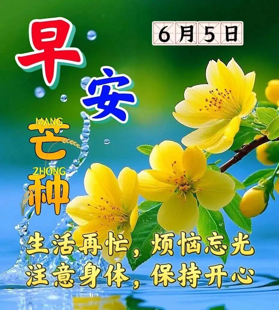 🌹芒种节，收获忙，麦满仓，粮成堆；芒种节，播种忙，种希望，盼秋收；❤️芒种节，