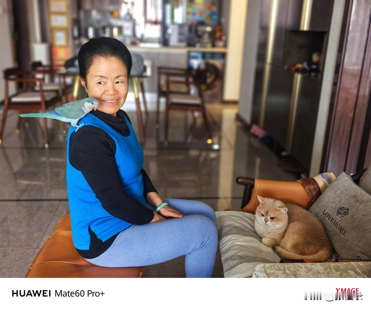 周六周天去沈阳看女儿，女儿家养的鹦鹉“豆包”和可可（宠猫）争宠啊。