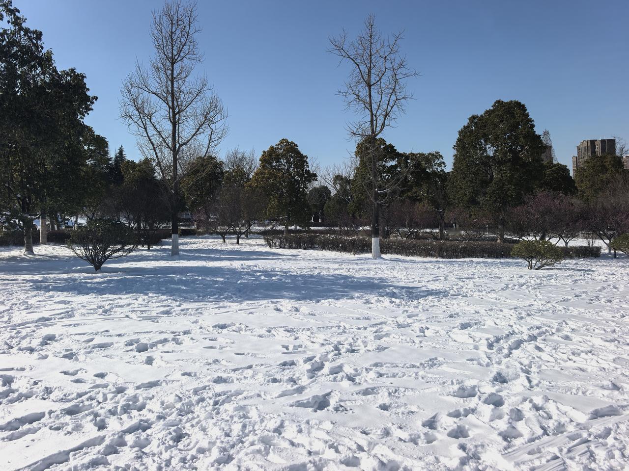这次雪太大了，
足足有五六厘米厚
正好孩子放假两天，
尽情的撒欢玩吧！
雪地上踩