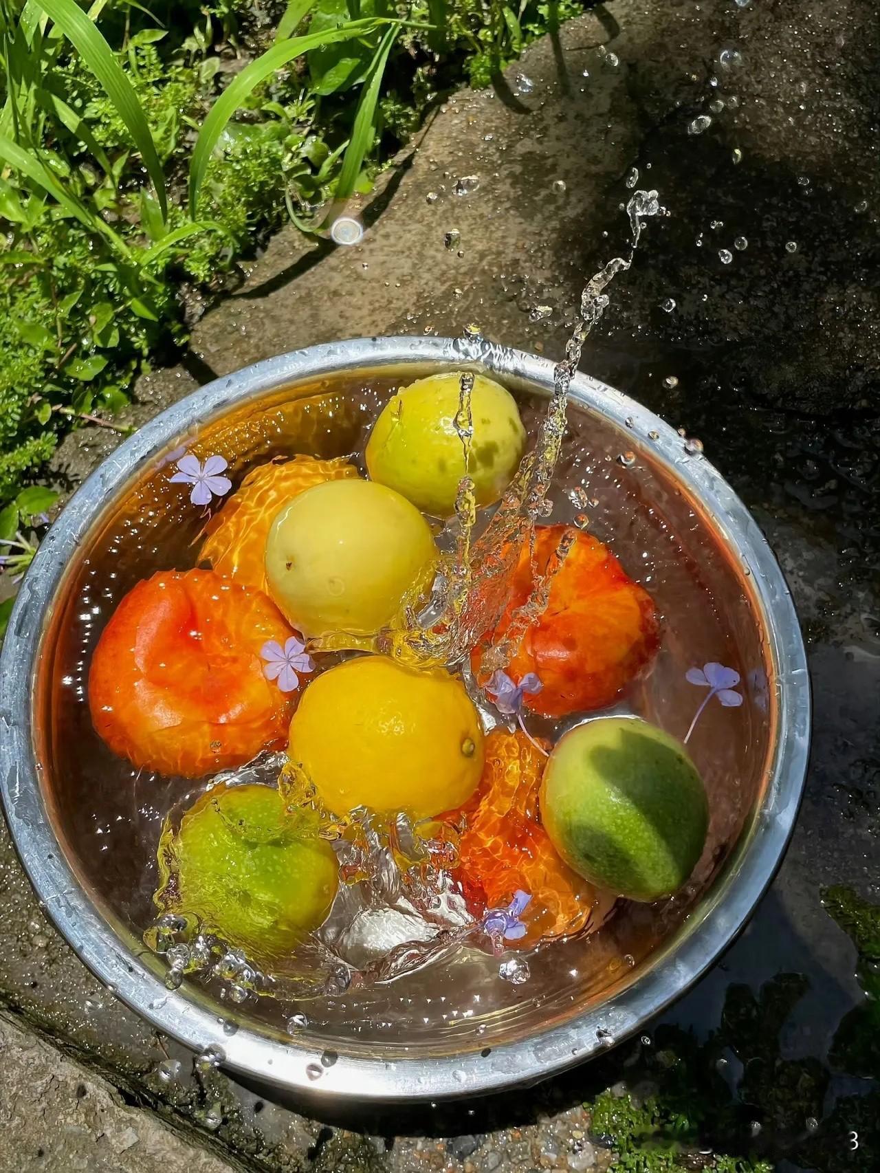 秋日生活打卡季