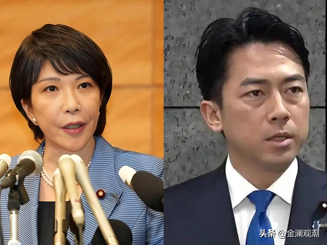 高市早苗一旦下台，小泉进次郎最有可能上台接任？

小泉进次郎这个虾子可比高市早苗
