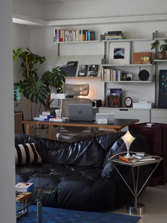 杂而不乱的家|有种经济上行的美