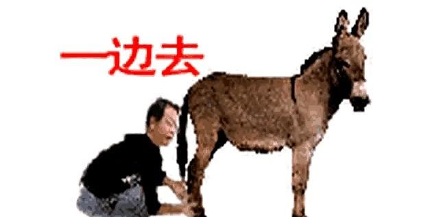 把这四个人放一起，才看懂了门道。

马保国和朱之文，一个靠“闪电五连鞭”成了笑料