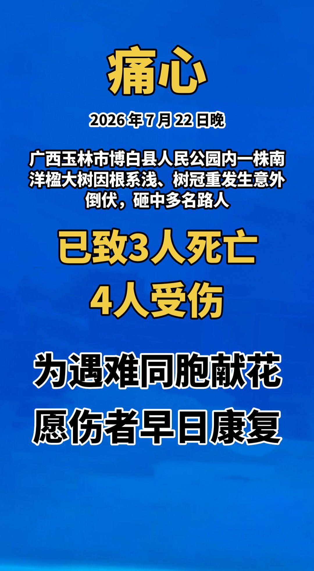 痛心！2026 年 7 月 22 日晚，广西玉林市博白县人民公园内一株南洋楹大树