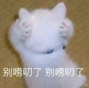 #曝三只羊沫沫曾打胎# 为什么这些网红的事情反复上热搜……这全都是负面新闻，一点