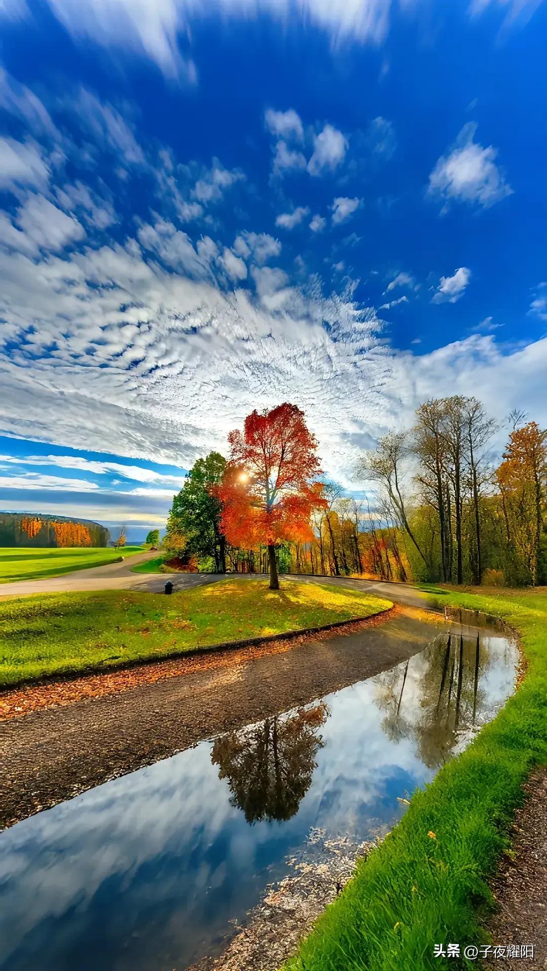 现在的餐馆一心为了赚钱，太没人情味了。我爸因肠道梗阻在市医院做手术，医生吩咐说让