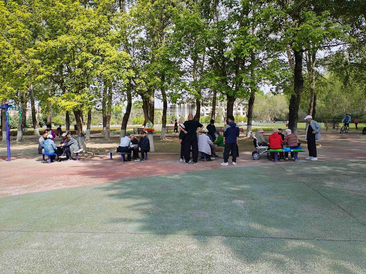 我的今日状态：😁轻松愉快
我这里的天气：☀️晴天
这里是黑龙江省肇东市南湖公园