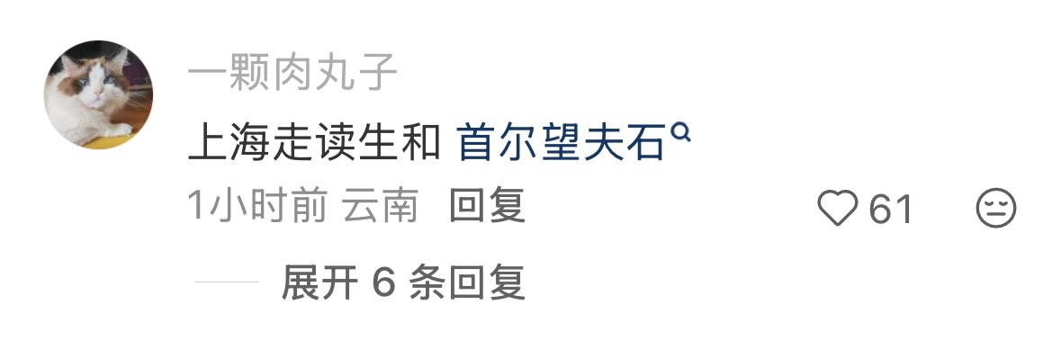 首尔望夫石哈哈哈哈哈 ​​​