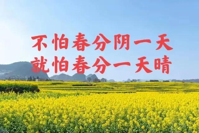 “不怕春分阴一天，就怕春分一天晴”，今日春分？天晴有啥不好预兆？
 
     