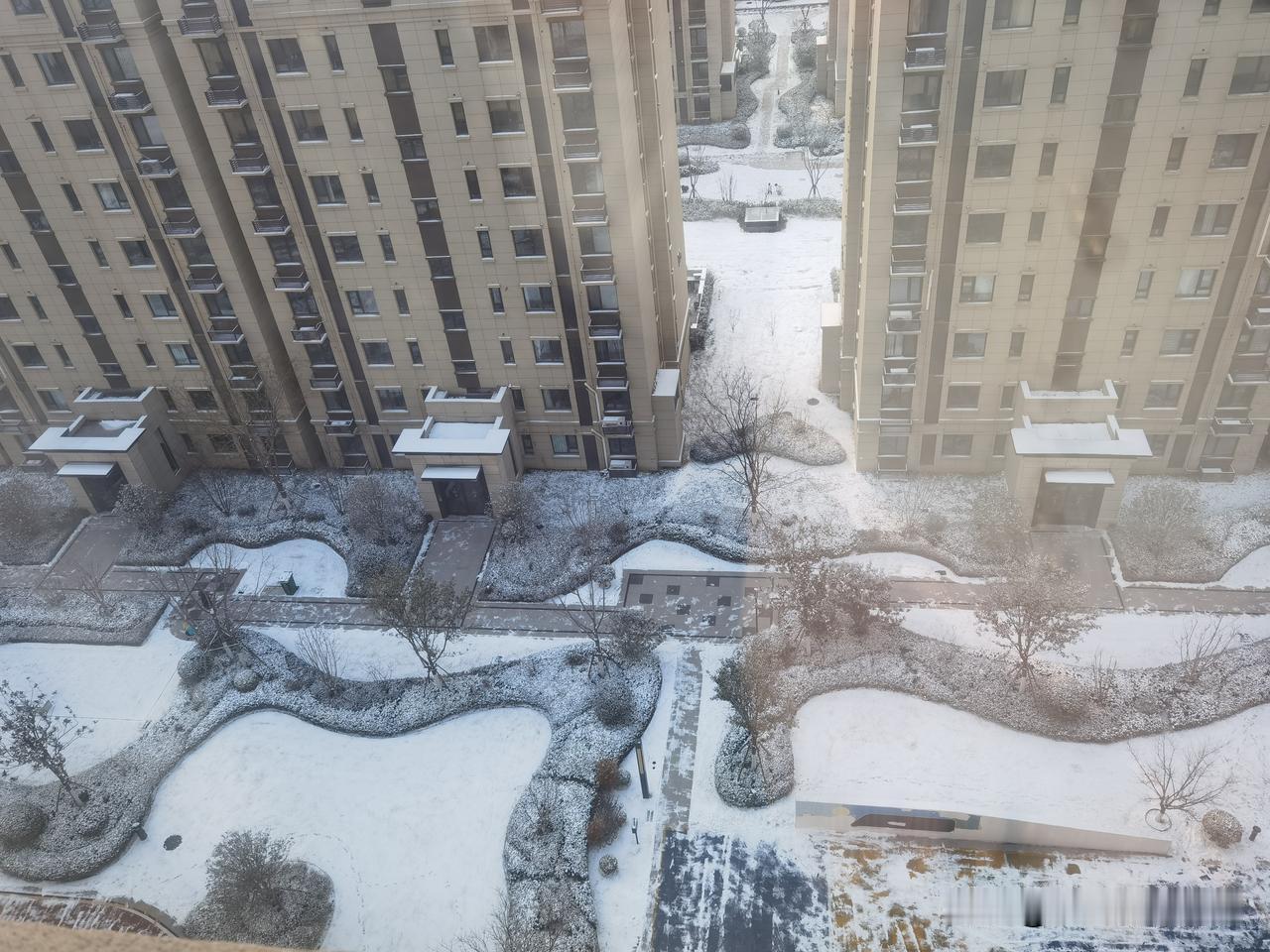 大清早爬起来扒着窗户往外瞅，一下子就被小区这雪景惊着了！一夜之间，楼下的地面、绿