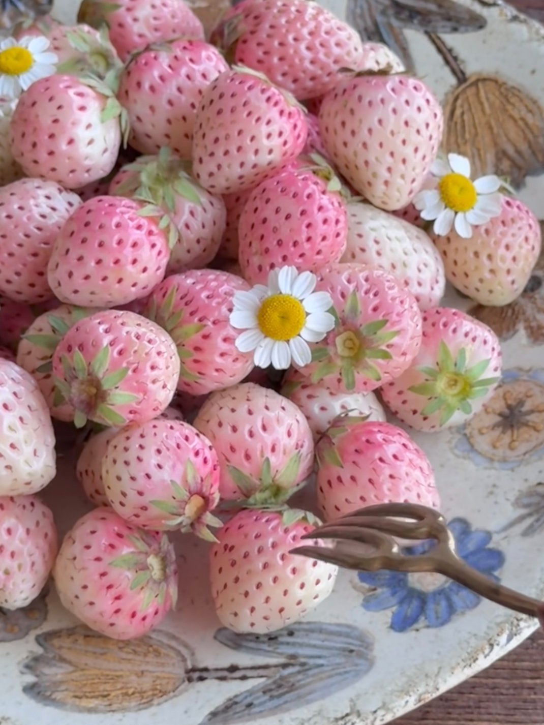 hhh～春天的盘子里长满了草莓 