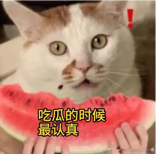 范丞丞 买超这就是流量明星下的花式甩锅，谁关心你们谁组的局，大家只关心这瓜甜不甜