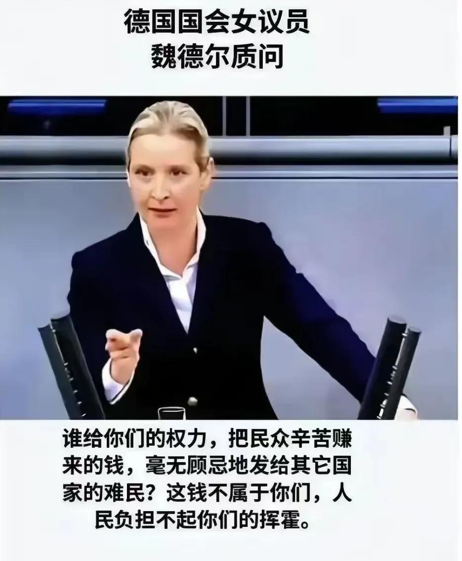 网传德国选择党主席魏德尔“质问难民花钱”的金句，并非其逐字原话，而是出自2018
