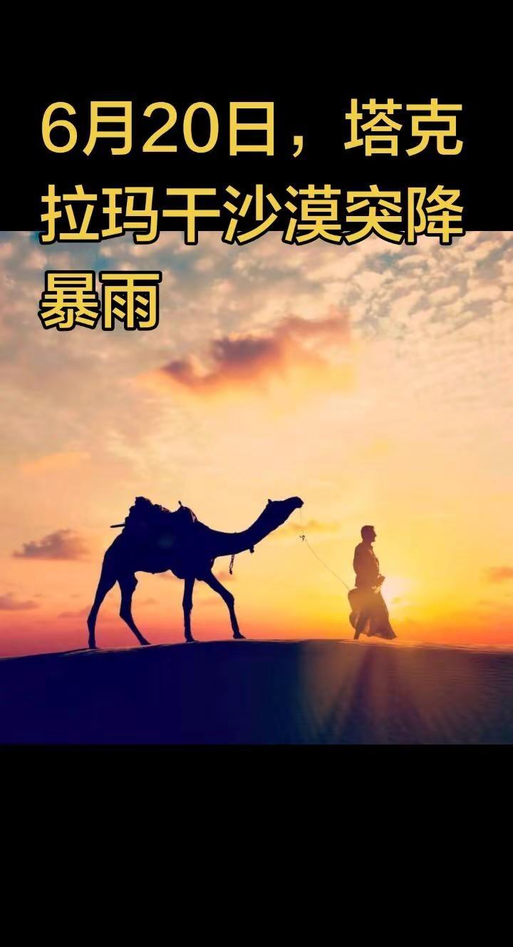 6月20日塔克拉玛干沙漠部分地区突降暴雨，三小时降雨量超过全年。 沙漠之舟名副其