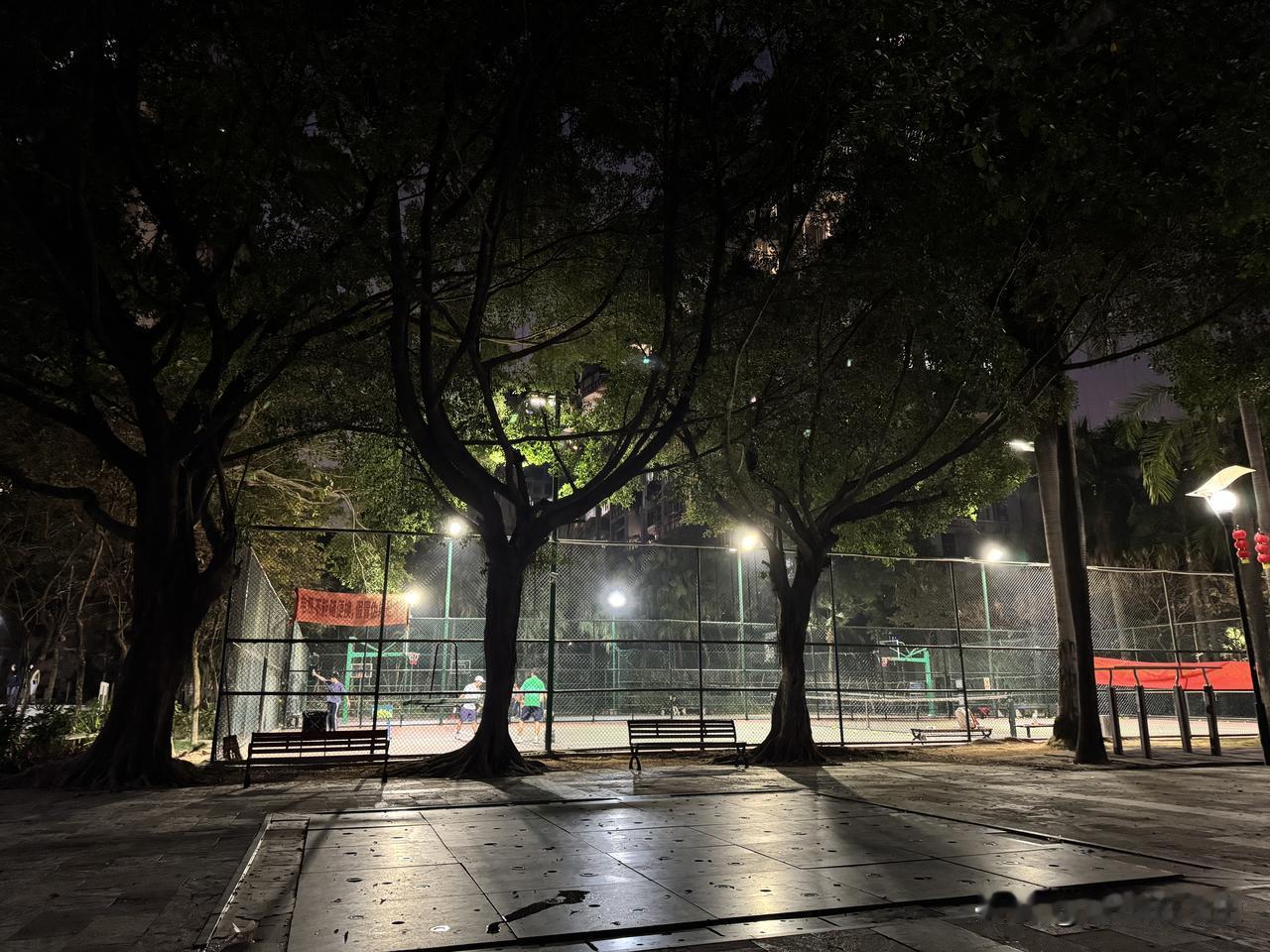 今年春节从初四开始就陆陆续续有人开始返回工作地。

我今年是在深圳过的年。
一是