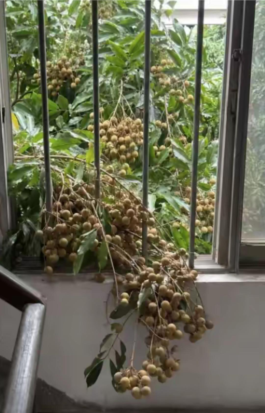 可惜没文化，看到此时此景，不能作诗龄一首，不知有没有文化人来一首。