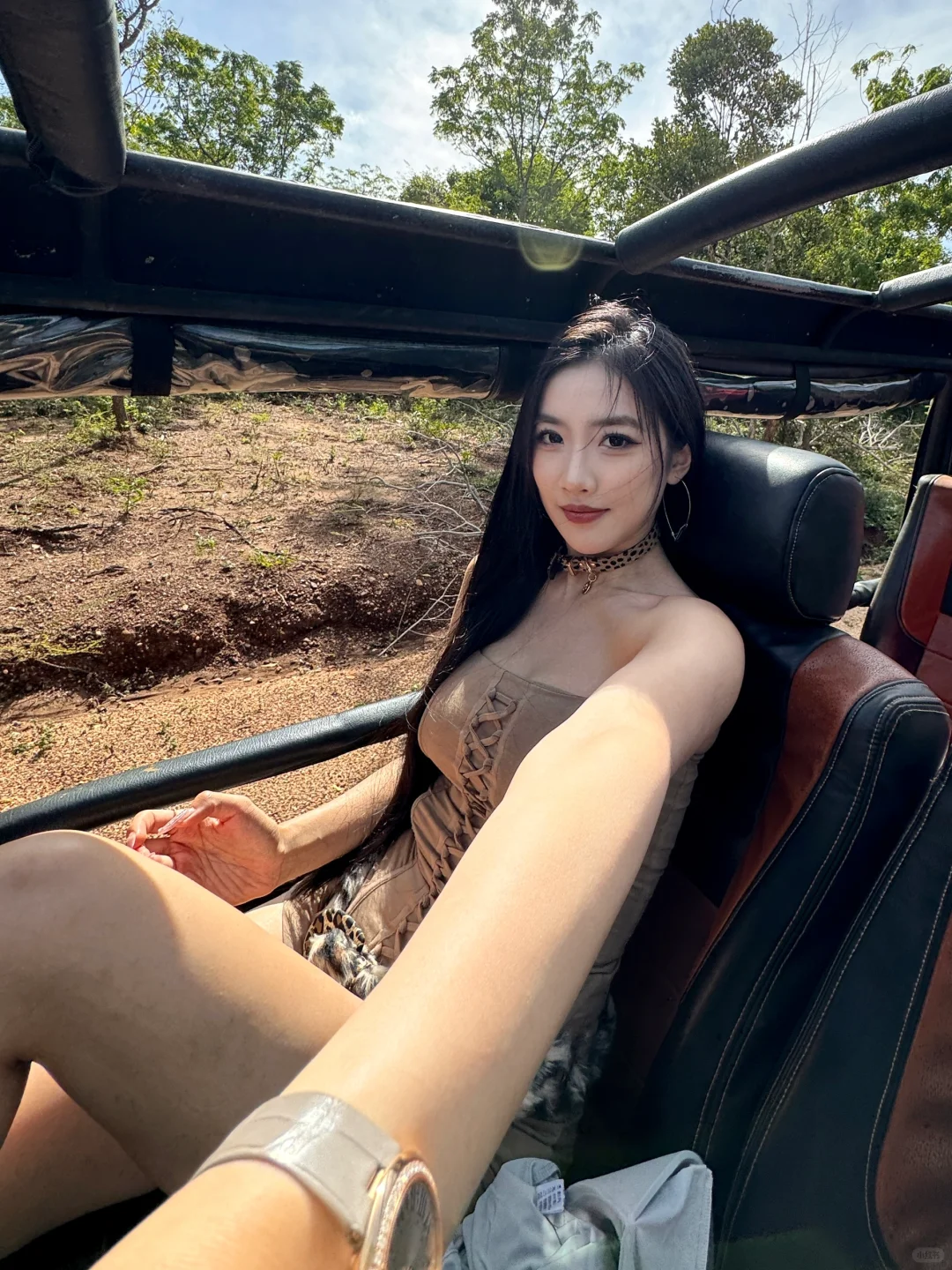 我在追象 你呢