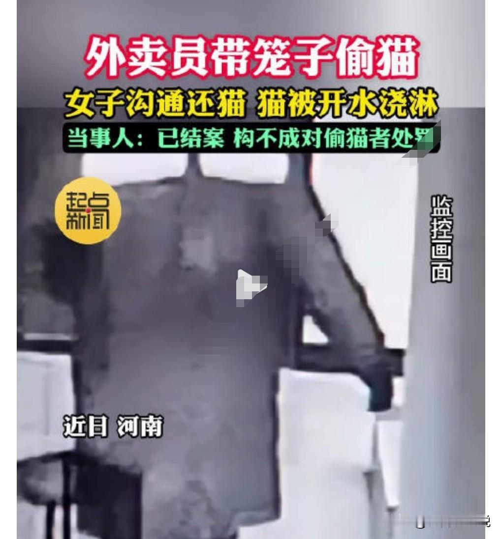 这也太没天理了吧，偷了别人的猫不用被处罚的吗？

近日河南，一女子的宠物猫被一个