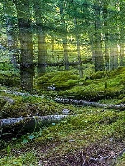 前天下午去表姨家，
她拉着儿子的手一通猛夸：

“你在山里开网 店，可真是选对了