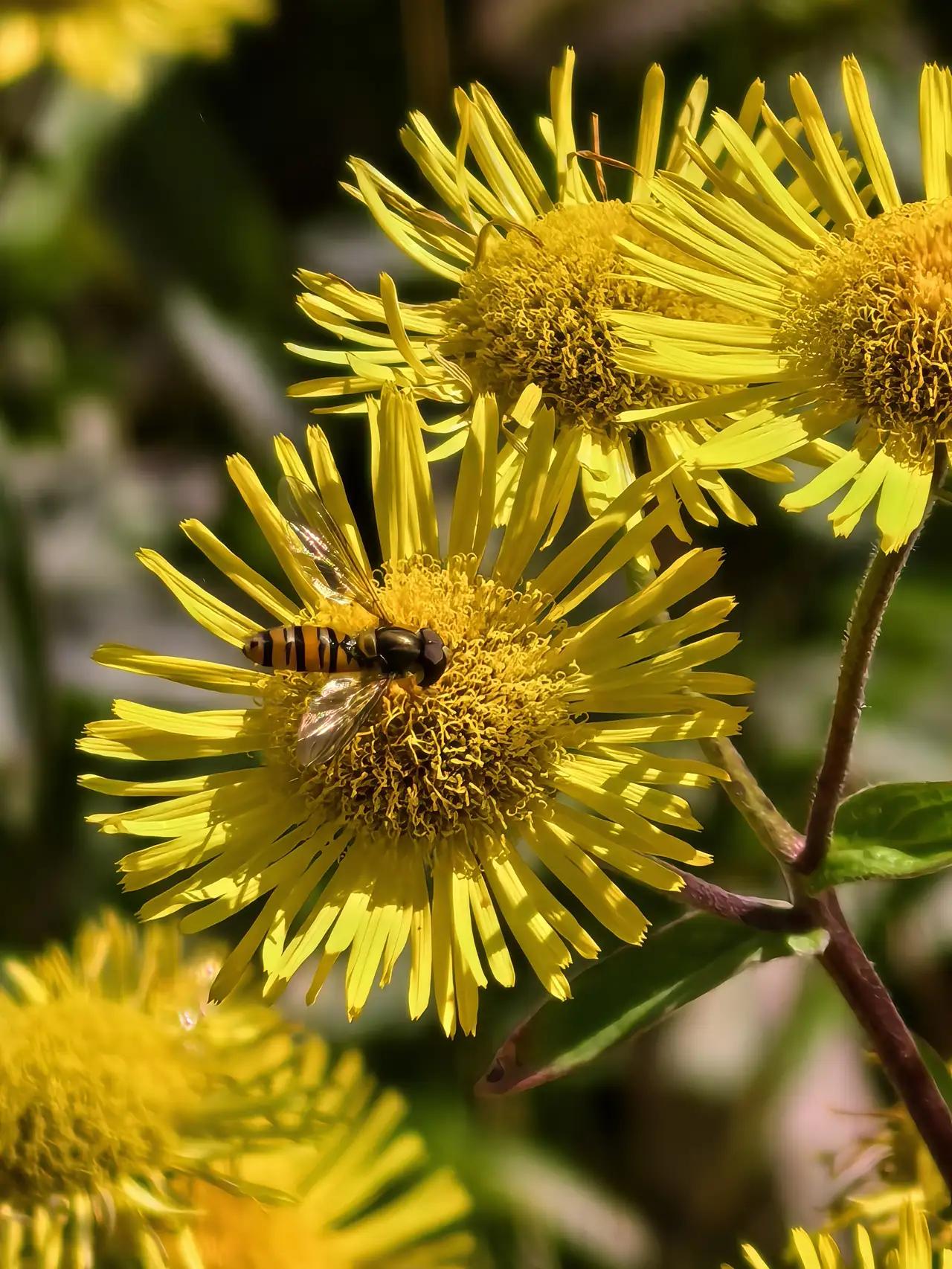 烟火暖心，内外皆安方是真健康

年岁渐长才慢慢懂，能真正滋养你的快乐，从不是朋友