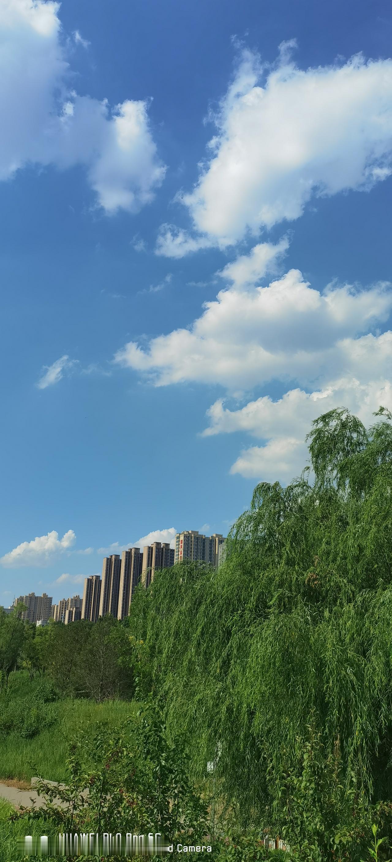 7月25日，携程被处罚了，国家市场监管总局对携程开出了51.79亿元的垄断罚单。