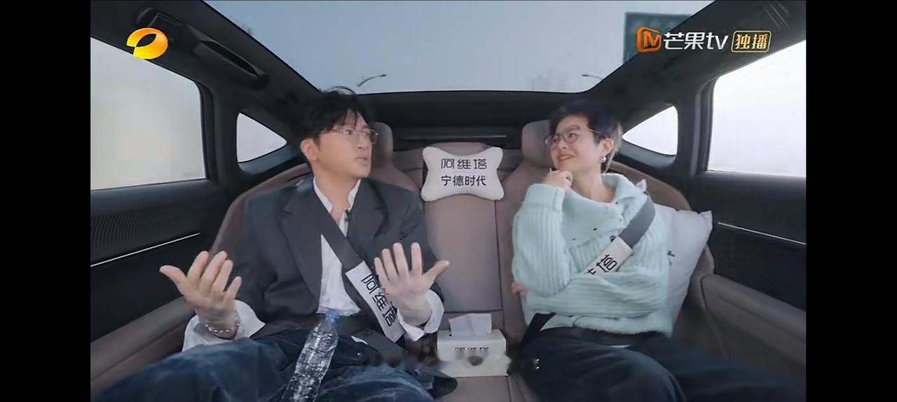 年少成名，是多少人的梦想！作为实现梦想的人，我想苏有朋当年一一定十分享受这种感觉