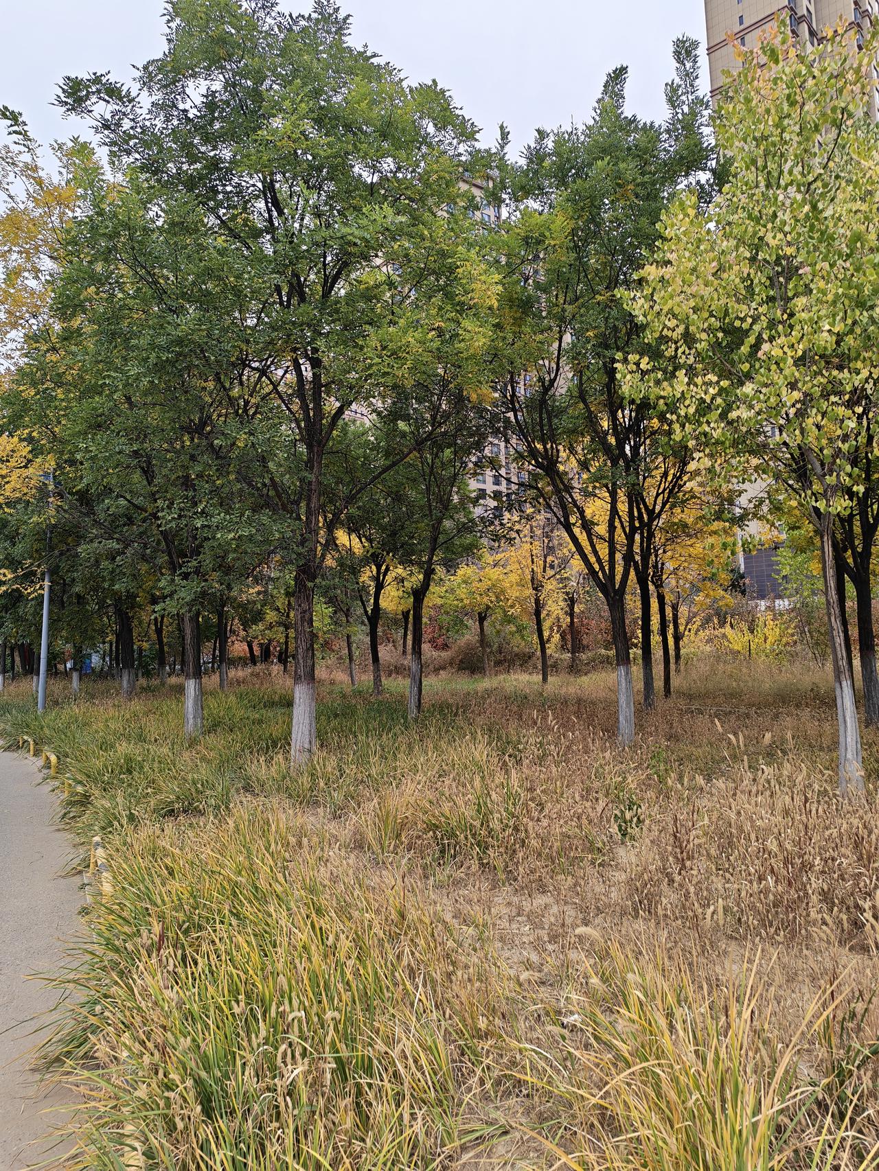 无论何时，不管年长还是年幼，都得养成存钱的习惯。手里有余钱，才是你实打实的底气。