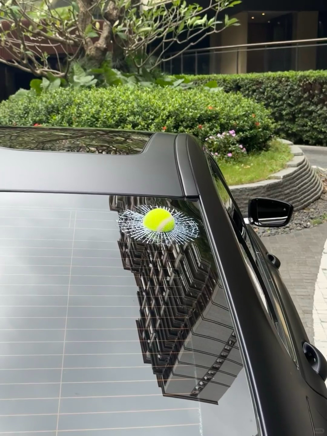 这竟然是贴纸。。。你敢信吗 