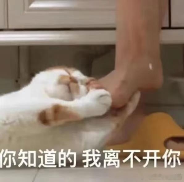 炎亚纶想要汪东城手机号炎亚纶什么时候能忘了汪东城？ 