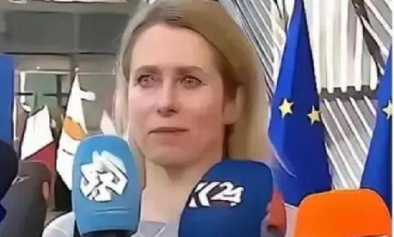 欧盟的官宣再次震惊了全世界：从今年开始，一切与中国有关的科研机构，都将没有资格参