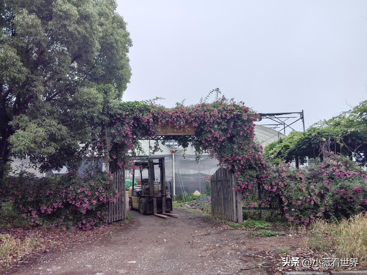 就问你们！如果人生可以重来，你还愿意当现在的你吗？

反正我不愿意！因为一路走来