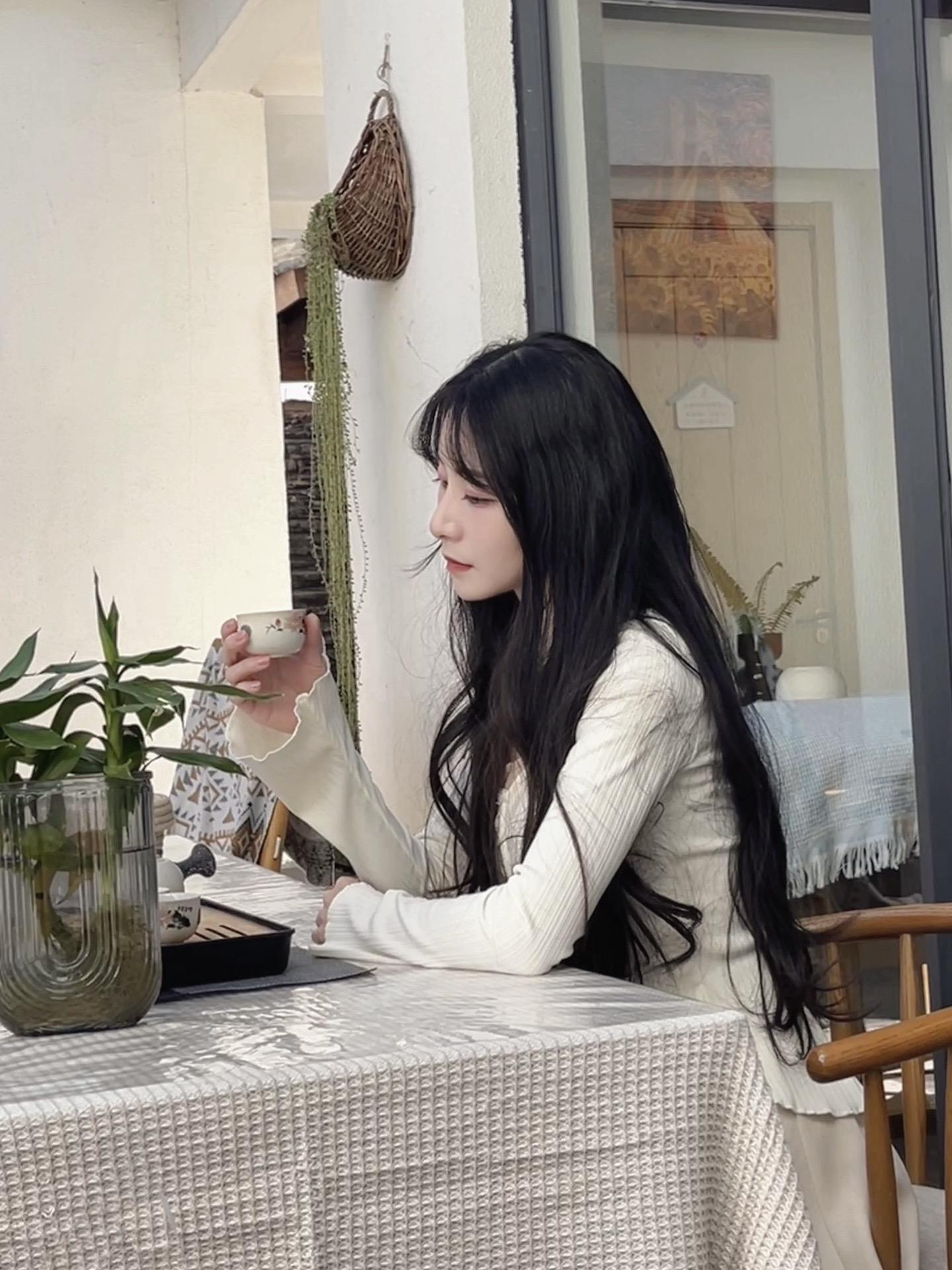 风起一场梦