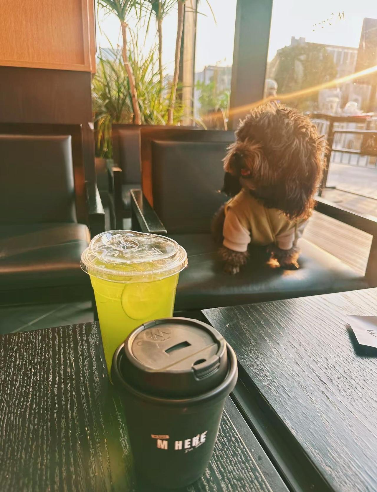 💗生活没有说明书 ～简单开心每一天💗