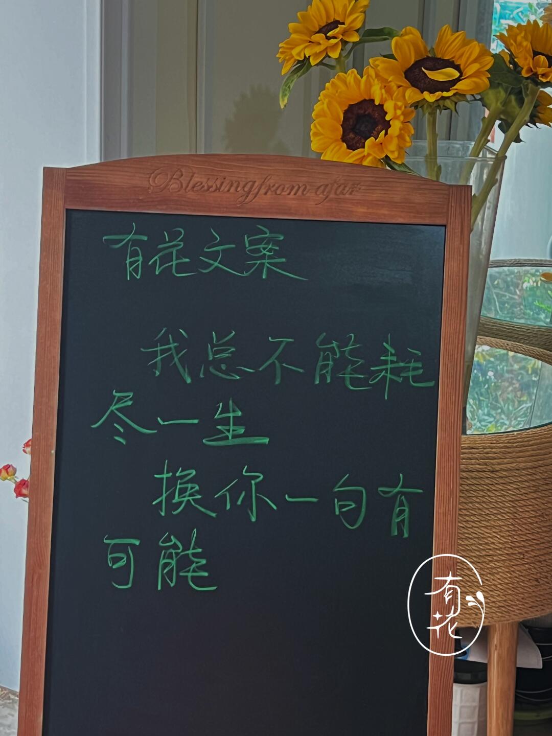 手写小黑板文案🌿01